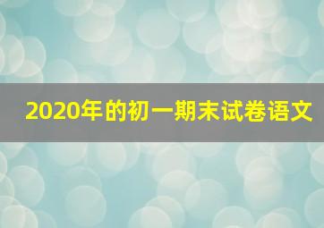 2020年的初一期末试卷语文