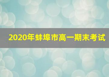 2020年蚌埠市高一期末考试