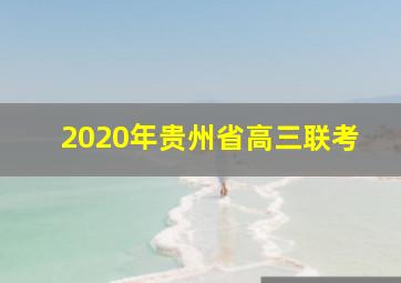 2020年贵州省高三联考