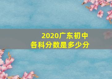 2020广东初中各科分数是多少分