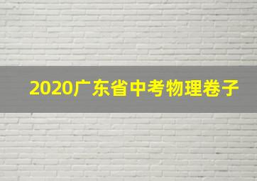 2020广东省中考物理卷子