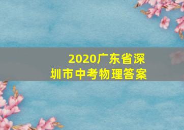 2020广东省深圳市中考物理答案