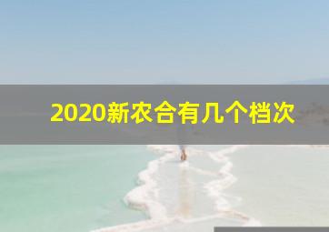 2020新农合有几个档次