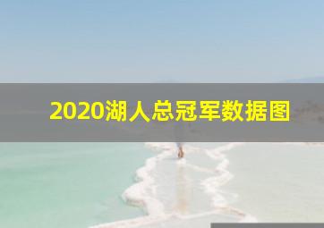 2020湖人总冠军数据图