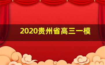 2020贵州省高三一模