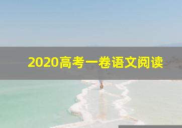 2020高考一卷语文阅读