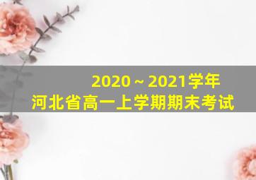 2020～2021学年河北省高一上学期期末考试