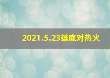 2021.5.23雄鹿对热火