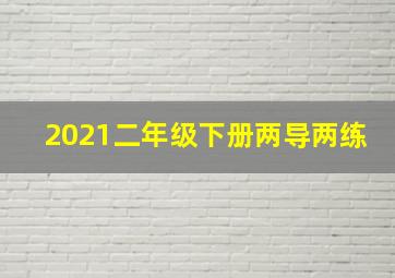 2021二年级下册两导两练