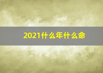 2021什么年什么命