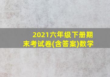 2021六年级下册期末考试卷(含答案)数学