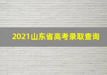 2021山东省高考录取查询