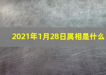 2021年1月28日属相是什么