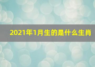 2021年1月生的是什么生肖