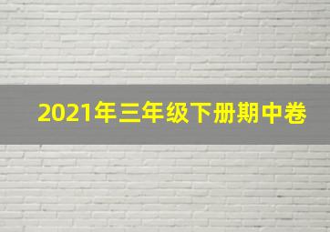 2021年三年级下册期中卷