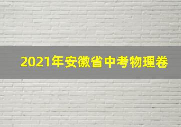 2021年安徽省中考物理卷