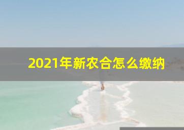 2021年新农合怎么缴纳