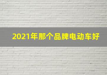 2021年那个品牌电动车好