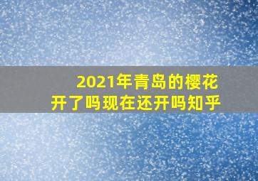 2021年青岛的樱花开了吗现在还开吗知乎