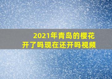 2021年青岛的樱花开了吗现在还开吗视频