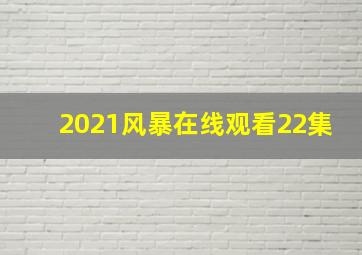 2021风暴在线观看22集