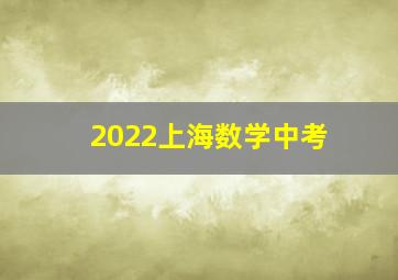 2022上海数学中考