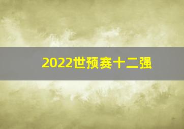 2022世预赛十二强