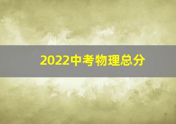 2022中考物理总分