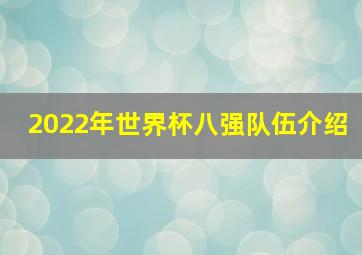 2022年世界杯八强队伍介绍