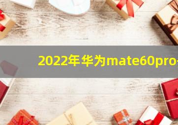 2022年华为mate60pro+