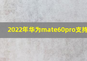 2022年华为mate60pro支持5g吗