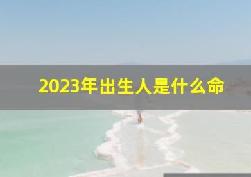 2023年出生人是什么命