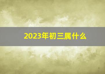 2023年初三属什么