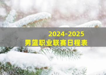 2024-2025男篮职业联赛日程表