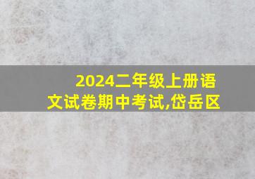 2024二年级上册语文试卷期中考试,岱岳区