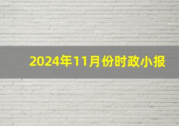 2024年11月份时政小报