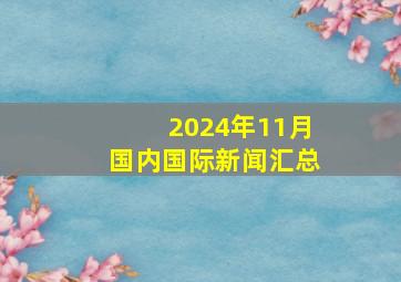 2024年11月国内国际新闻汇总