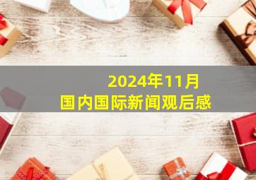 2024年11月国内国际新闻观后感