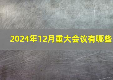 2024年12月重大会议有哪些