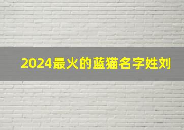 2024最火的蓝猫名字姓刘