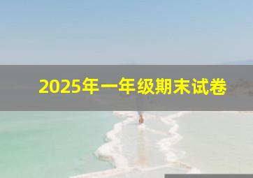 2025年一年级期末试卷