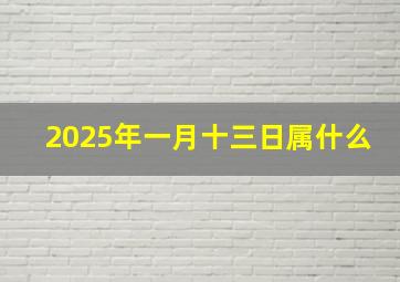 2025年一月十三日属什么