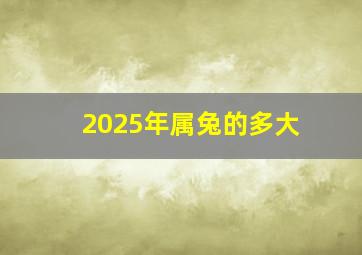 2025年属兔的多大