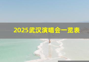 2025武汉演唱会一览表