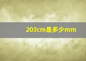 203cm是多少mm