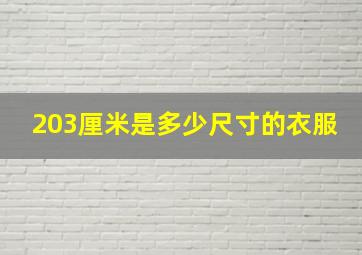 203厘米是多少尺寸的衣服