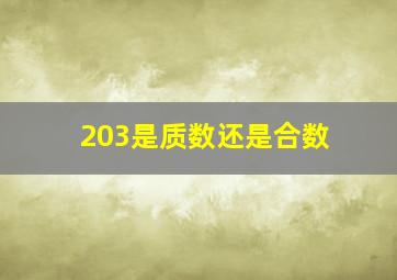 203是质数还是合数