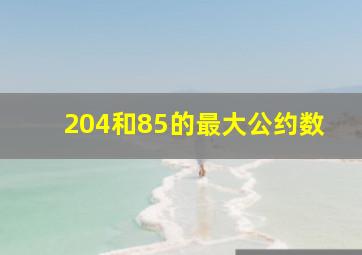 204和85的最大公约数