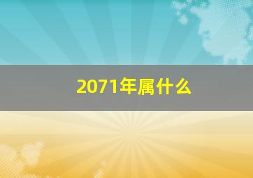 2071年属什么