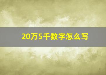 20万5千数字怎么写